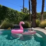 Sally Cary-Steckler - @carysteckler - Instagram