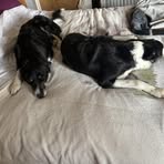 Sally Caton - Facebook