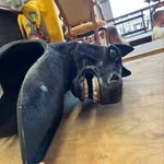 Sally Caton-Byrne - @artdepartmentsally - Instagram
