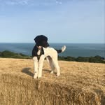 Sally Caughey - @sallyacaughey - Instagram