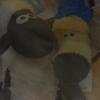 Sally.Chadwick - @bbalicvoc72 - TikTok