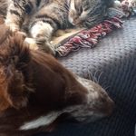 Sally Chamberlain - @chamberlain1950 - Instagram