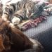 Sally Chamberlain - Facebook