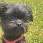 Sally Chamberlain Duguay - @scchambe - Instagram