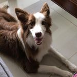 Sally Maley Chamberlain - @chamberlain_sally - Instagram