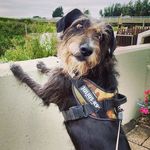 Sally - @sally.chops - Instagram
