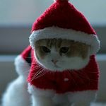 Sally Christensen Koolmo - @christensenkoolmo - Instagram