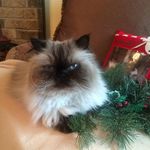 Sally Christopher - @sally.christopher.509 - Instagram
