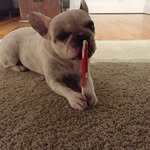 Sally Clapp - @salgram84 - Instagram