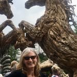 Sally Clapperton - @sallyclapperton - Instagram