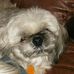 Sally Clement - Facebook