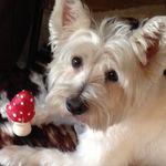 sallyclements - @sallyclements - Instagram
