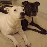 Sally-anne Colton - @salsabrux - Instagram