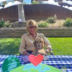 Sally Cook - @sallycook2 - Instagram