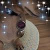 sallycook1148 - @sallycook1148 - TikTok