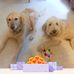 Sally Corcoran - Facebook