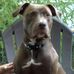 Sally Cory - Facebook