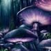 Sally Cory - Facebook