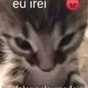 kira🦆🌹 - @sallycosta3 - TikTok