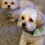 Sally Craft - @craftsally - Instagram