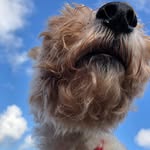 Sally Craig - @cally.sraig3 - Instagram