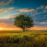 Sally Cramer - @sally12332128 - Instagram