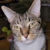 sallycramer938 - @odtruffles - TikTok