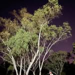 Sally Crow - @sallycrow64 - Instagram