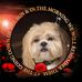 Sally Crowder - Facebook