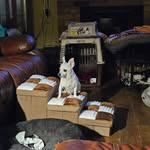 Sally Curry - @sjcurry46 - Instagram
