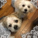 Sally Curry - @sally.ward.1111 - Instagram