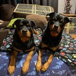 Sally Dailey Darling - @ohrahmom3151 - Instagram