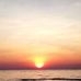Sally D'Alessandro - Facebook