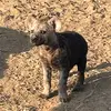 SallydaSilva - @user8676588529810 - TikTok