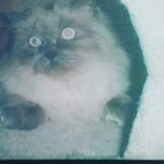 Sally David - @sallydavid8219 - Instagram