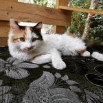 Sally deeb - @sal.lydeeb - Instagram