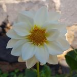 sally.deeb - @sally.deeb3 - Instagram