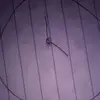 delgado.sally - @delgado.sally - TikTok
