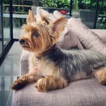 Sally Deng - @rong_deng999 - Instagram