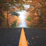 Sally Deng - @dengshi.sally - Instagram