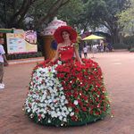Sally Deng - @sally.deng.395 - Instagram