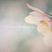 Sally Deng - Facebook