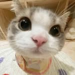 Sally Deng - @dws_forever2023 - Instagram