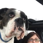 Sally Denman - @sallydenman54 - Instagram