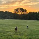 Sally Denton - @jake_the_dog0704 - Instagram