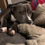 Sally Gordon-Denton - @sallygordondenton - Instagram