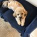 Sally Dickey - Facebook