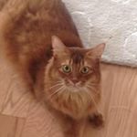 Sally Dickinson - @jersey_girl319 - Instagram