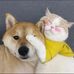 Sally Ding - Facebook