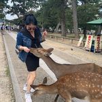 Sally Ding-Fan - @s_a_l_sal - Instagram